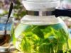 GREEN TEA RECIPE